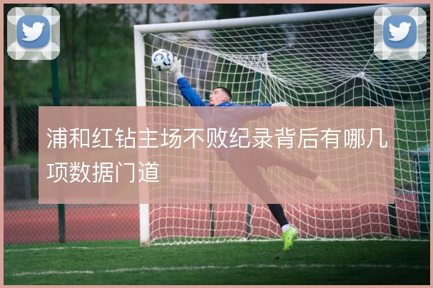 浦和红钻主场不败纪录背后有哪几项数据门道