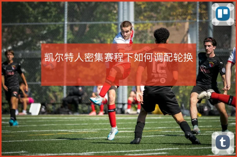 凯尔特人密集赛程下如何调配轮换